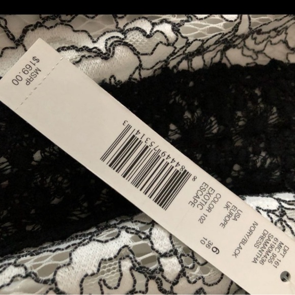 New! Women’s Antonio Melani Size 6 Lace Dress - Picture 5 of 5